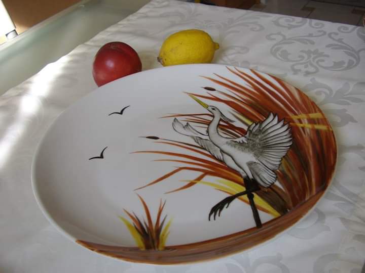 FB IMG 1582151513367