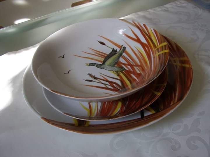 FB IMG 1582151521313